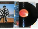 PINK FLOYD DELICATE SOUND OF THUNDER 2 LP 1988 COPERTINA APRIBILE  GATEFOLD
