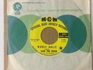 SAM THE SHAM & THE PHARAOHS PROMOTIONAL “WOOLY BULLY / AIN’T GONNA MOVE” Z59