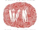 Angel Olsen - Burn Your Fire for No Witness