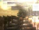Fleetwood Mac Alternate Tango In The Night Record Store Day 2018 LP Stevie Nicks