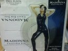 Madonna Two vinal Picture Disc