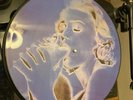 Madonna Erotica Picture Disc Vinyl Record