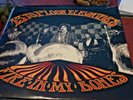 13TH FLOOR ELEVATORS FIRE IN MY BONES LP SEALED TAR 4 TEXAS ARCHIVE 66-67 SUMP