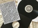 Panda Bear A Day With The Homies 12” Rare UK White Label Promo Animal Collective
