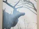 Agalloch ?– The Mantle white