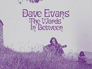Dave Evans-The Words Inbetween (UK IMPORT) VINYL NEW