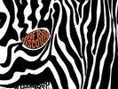 ALESSANDRO ALESSANDRONI: 