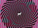Deerhunter-Cryptograms Plus Flourescent G VINYL NEW