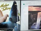 EUROPOP   MODERN TALKING Ready For Romance In The Garden Of Venus ISRAEL LP