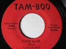 CHUCK RAY-COME ALIVE ON TAM-BOO NORTHERN 45-HEAR