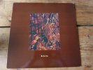 McCarthy - I am a wallet original LP with lyric insert