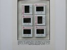 Jonathan Meese Kommissar Hjuler Zappa SOFA 2 Mia Stone Illona Miskolczi Frank LP