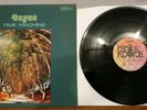Dzyan - Time Machine RARE Orig. Quadro Bacillus NM Condition Vinyl Record