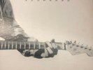 Eric Clapton Slowhand Original Master Recording LP Nm/VG