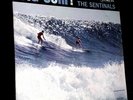 The SENTINALS Big Surf  Del-Fi DFST 1232 stereo record lp San Luis Obispo