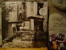 GEORGE BRIGMAN Jungle Rot LP/1975 US/Hard Rock/Proto-Punk/Groundhogs/Stooges