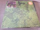 ANIMAL COLLECTIVE -WATER CURSES - ELECTRONIC / EXPERIMENTAL ROCK - NM- VINYL
