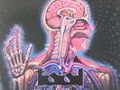 TOOL LATERALUS 2 X LP
