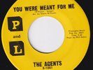 AGENTS You Were Meant For Me RARE northern soul sweet soul SAME GROUP AS Trouble