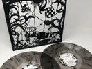 Dave Matthews Band COME TOMORROW Clear & Black Marble Vinyl Target Exclusive