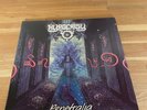 Hypocrisy Penetralia LP 2013 Repress