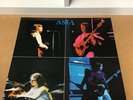 Asia S/T Prog Rock Band From South Dakota Rare NM Vinyl LP Record Album Indie