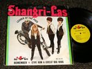 Excellent 1965 MONO Girl Group LP  THE SHANGRI-LAS 