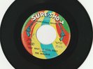 RARE ORIG NORTHERN SOUL 45 - THE MALIBUS - GEE BABY, (I LOVE YOU) - SURE-SHOT