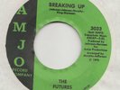 SWEET  SOUL -- FUTURES  -- BREAKING UP