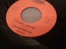 Edward Hamilton - Carrie Records C-6502 - I'm Gonna Love You - 1966 US Nor/Nor