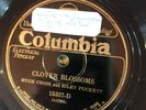 Columbia 152337D Hugh Cross & Riley Puckett CLOVER BLOSSOMS  78rpm Country E+