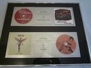 NIRVANA - Unplugged in New York & In Utero UK Geffen Platin Award (Foo Fighters)