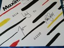 Maximo Park - Risk To Exist. signed vinyl