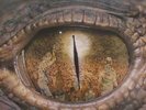 RODRIGO Y GABRIELA - Rodrigo Y Gabriela (remastered) - Vinyl (2xLP)