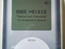 DAVE MELILLO - You've Got Potential LP TEST PRESS Vinyl Records Emo Drive-Thru