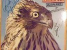 Blackfoot - Marauder - Fully Signed LP Autographed.