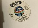 Anderson Brothers-I Can See Him Loving You,Northern Soul
