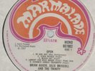 Brian Auger, Julie Driscoll And The Trinity - 'Open' 1967 UK Marmalade Mono LP