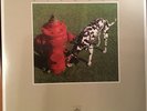 Rush signals vinyl 2015 edition in mint condition,with lyric sheet.