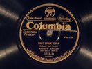 78 RPM --  Andrew Aiona's Novelty Four, Columbia 1788, E+ Hawaiian - Jazz