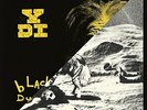 YDI-A PLACE IN THE SUN / BLACK DUST VINYL LP NEW
