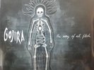 Gojira “The Way Of All Flesh” 2xLP Clear Vinyl 3rd Press Lamb Of God Meshuggah