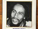 Bob Marley & The Wailers – Jamaican Storm -  Roots Reggae Vinyl LP – Peter Tosh