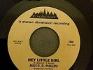 MISS D.D. PHILLIPS Hey Little Girl rare northern soul 7'' vinyl Wigan Casino