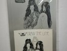 Aerosmith Draw the Line record display promo RARE