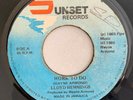 LLOYD HEMMINGS - WORK TO DO - SUNSET ( DIGI 7 )