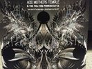 Dark Side of the Black Moon: What Planet Are We On Acid Mothers Temple (2xLP)