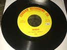 The Travel Agency 45 Jailbait Zordan 107A Rare 1967 Chicago Garage Punk