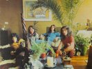 Golden Earring - together - LP von 1972