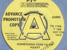 THE PAPER DOLLS**SOMETHING HERE IN MY HEART**DEMO**HEAR IT